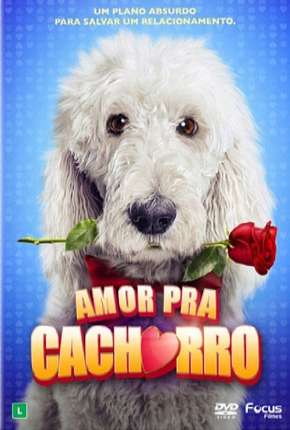 Amor Pra Cachorro Dublado Download - Rede Torrent