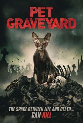 Pet Graveyard - Legendado  Download - Rede Torrent