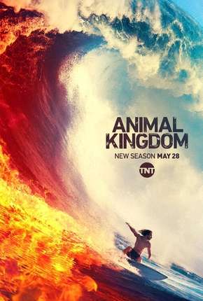 Animal Kingdom - 4ª Temporada Legendada  Download - Rede Torrent