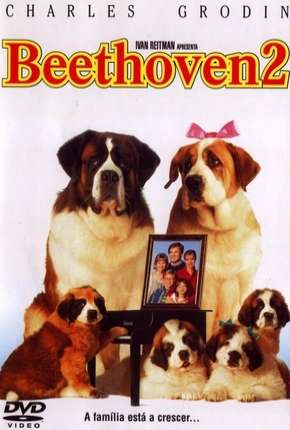 Beethoven 2 Dublado Download - Rede Torrent