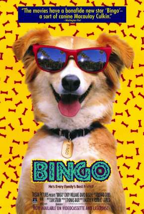 Bingo, Esperto pra Cachorro Dublado Download - Rede Torrent