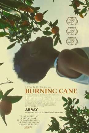 Burning Cane - Legendado via Torrent