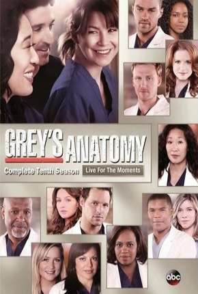 Greys Anatomy - 10ª Temporada - Completa via Torrent