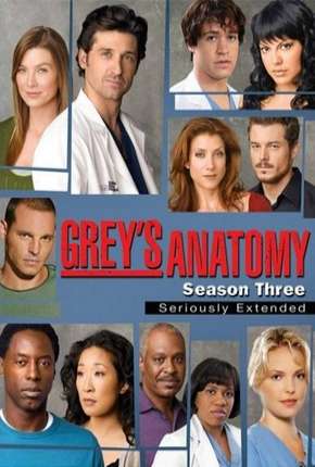 Greys Anatomy - 3ª Temporada - Completa via Torrent