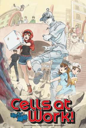 Hataraku Saibou - Cells at Work via Torrent