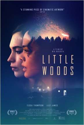 Little Woods - Legendado  Download - Rede Torrent