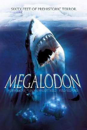 Megalodon - 18 Metros de Terror Dublado Download - Rede Torrent