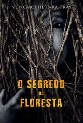 O Segredo da Floresta - Legendado  Download - Rede Torrent