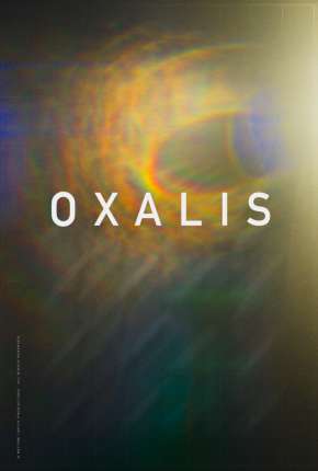 Oxalis - Legendado  Download - Rede Torrent