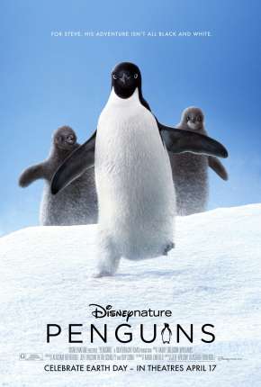 Penguins - Legendado  Download - Rede Torrent