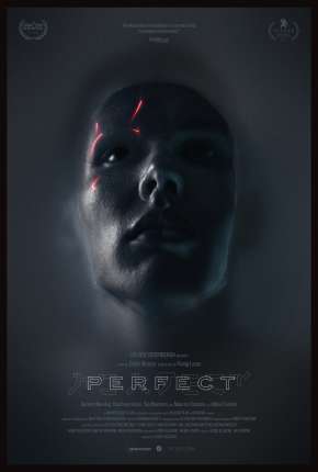 Perfect - Legendado  Download - Rede Torrent