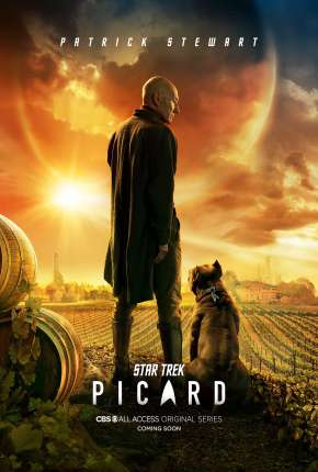 Star Trek - Picard - 1ª Temporada via Torrent