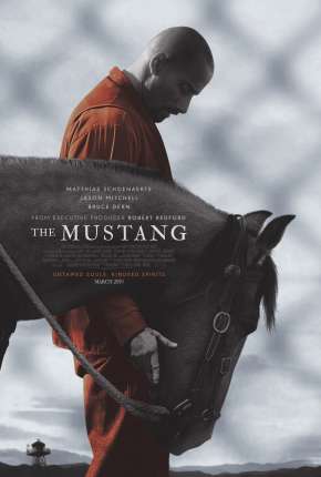 The Mustang via Torrent