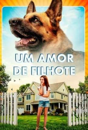 Um Amor de Filhote Dublado e Dual Áudio 5.1 Download - Rede Torrent