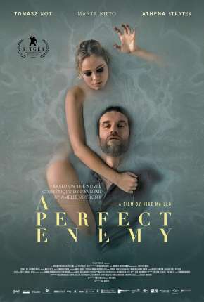 A Perfect Enemy - Legendado via Torrent