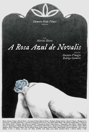 A Rosa Azul de Novalis via Torrent