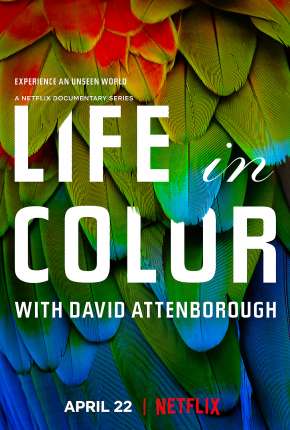 A Vida em Cores com David Attenborough - 1ª Temporada Completa via Torrent