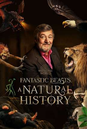 Animais Fantásticos - Uma História Natural via Torrent