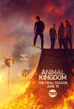 Animal Kingdom - 5ª Temporada Legendada via Torrent