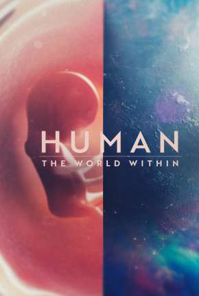 Corpo Humano - Nosso Mundo Interior - 1ª Temporada Completa via Torrent