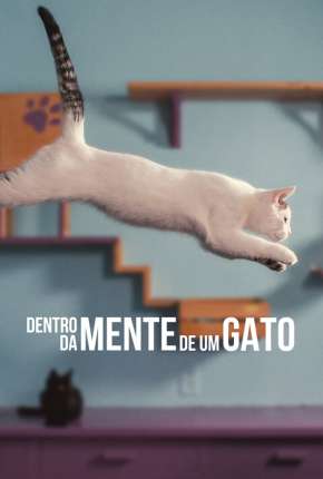 Dentro da Mente de um Gato - Legendado via Torrent