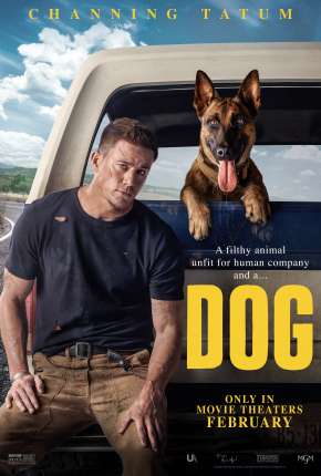 Dog - A Aventura de Uma Vida via Torrent