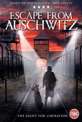 Fuga de Auschwitz Dublado e Dual Áudio 5.1 Download - Rede Torrent