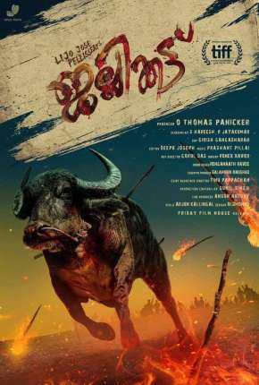 Jallikattu - Legendado  Download - Rede Torrent