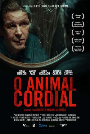 O Animal Cordial Nacional via Torrent