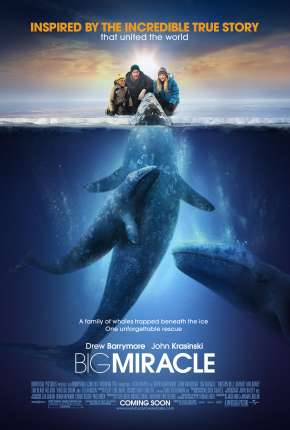 O Grande Milagre - Big Miracle via Torrent