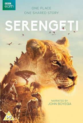 Serengeti - 2ª Temporada Completa Legendada via Torrent