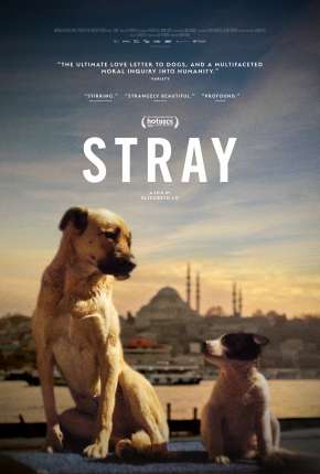 Stray - 2021 Legendado via Torrent