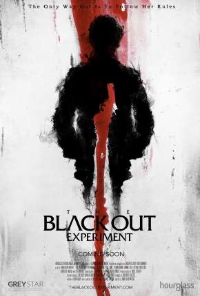 The Blackout Experiment - Legendado via Torrent
