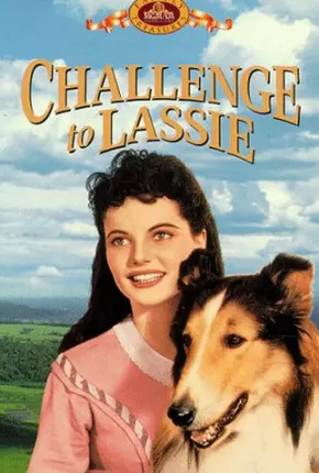 Desafio de Lassie Dublado e Dual Áudio Download - Rede Torrent