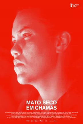 Mato Seco em Chamas via Torrent