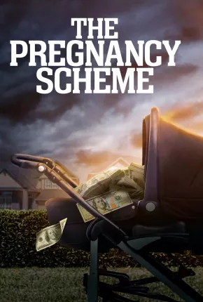 The Pregnancy Scheme - Legendado  Download - Rede Torrent