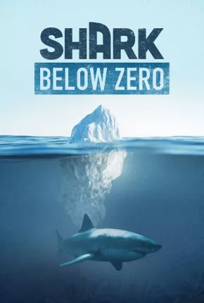 Shark Below Zero via Torrent