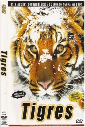 Tigres / Na Sombra do Tigre via Torrent