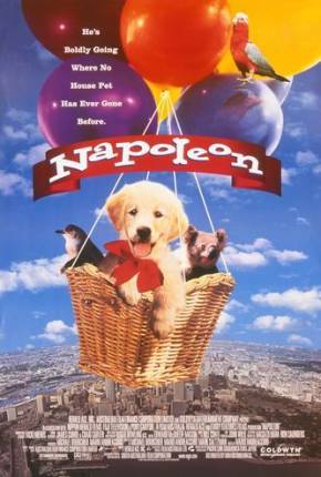 Napoleon, as Aventuras de um Cãozinho Valente via Torrent