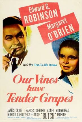 O Roseiral da Vida / Our Vines Have Tender Grapes via Torrent