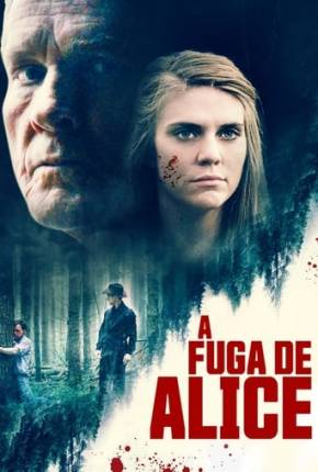 A Fuga de Alice via Torrent