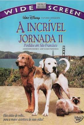 A Incrível Jornada 2 - Perdidos em São Francisco via Torrent