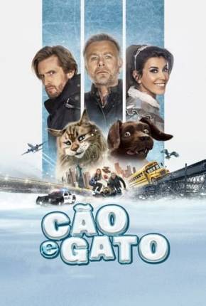 Cão e Gato via Torrent