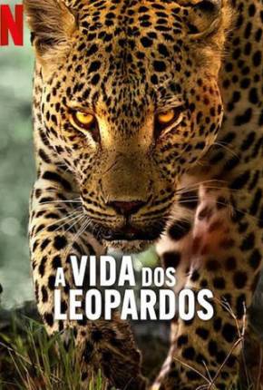 A Vida dos Leopardos via Torrent