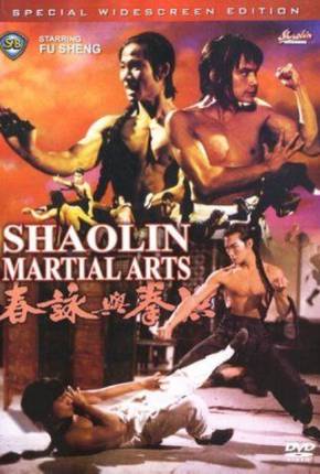 As Artes Marciais de Shaolin / Hong quan yu yong chun via Torrent