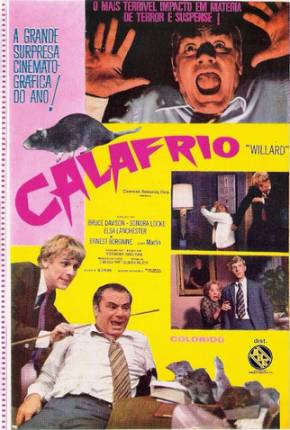Calafrio / Willard via Torrent