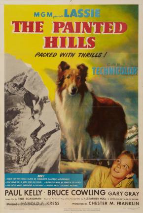 Lassie - Heróis da Montanha via Torrent