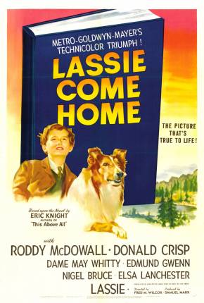 Lassie - A Força do Coração via Torrent