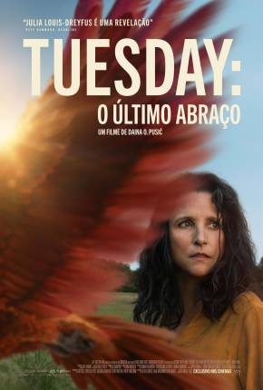 Tuesday - O Último Abraço - CAM - Legendado e Dublado Não Oficial via Torrent