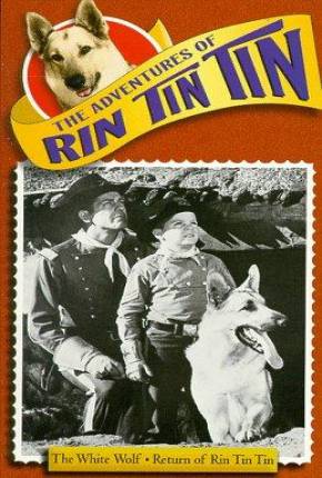 As Aventuras de Rin Tin Tin - 1ª Temporada via Torrent